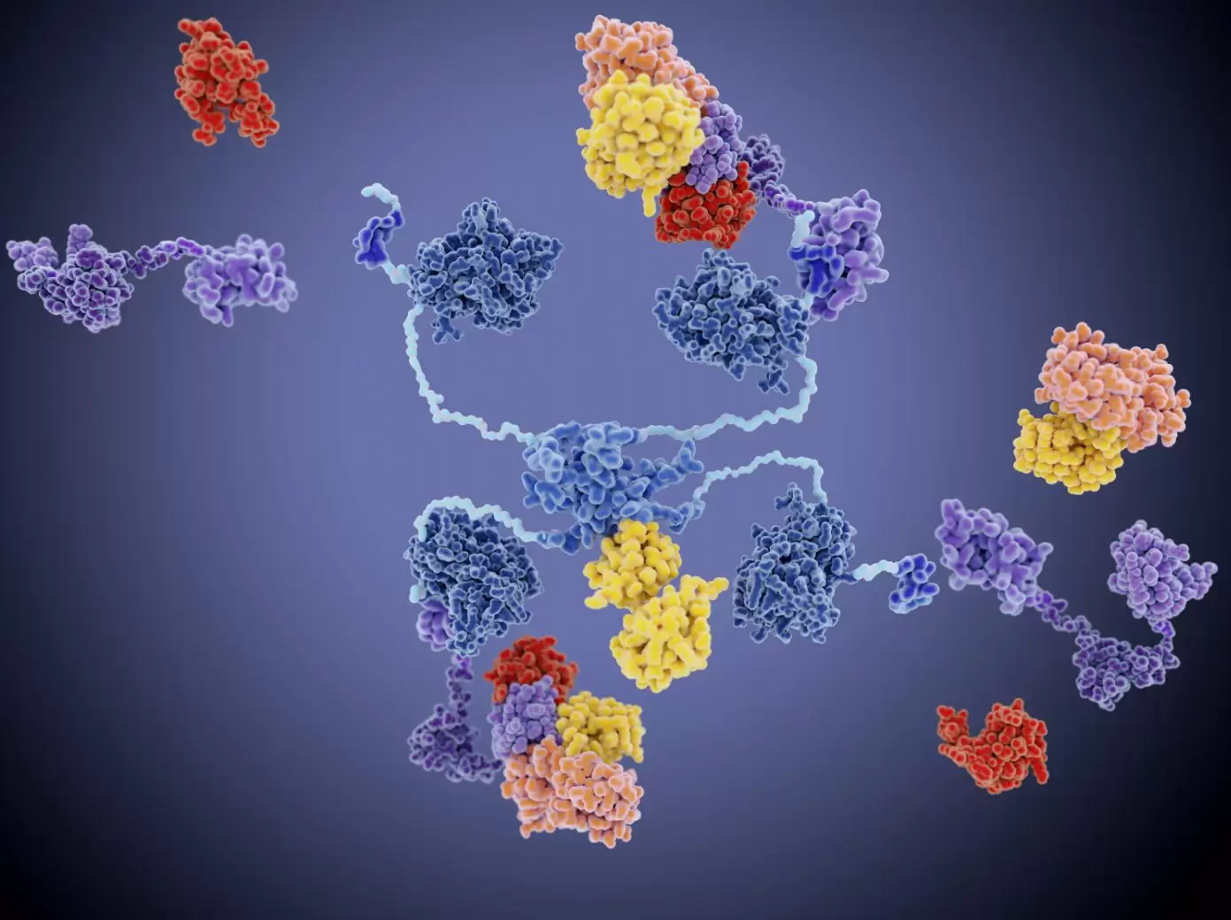 เปปไทด์